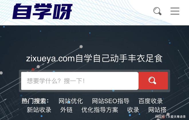 BD半島網(wǎng)址企業(yè)建站讓流量真正落地！自學(xué)呀建站專注SEO排名網(wǎng)站建立